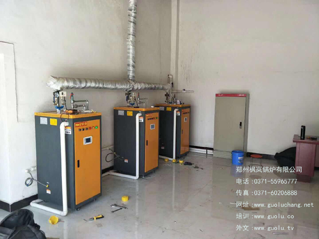 小型一体化（免报检）电蒸汽锅炉